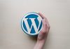 10 MOST IDEAL APPROACHES TO PROFIT WITH WORDPRESS