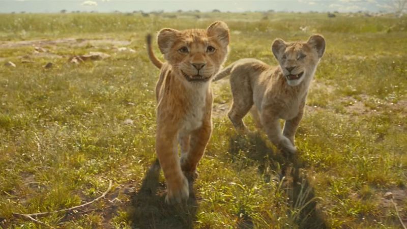 The cub who would be king, ‘Mufasa: The Lion King’