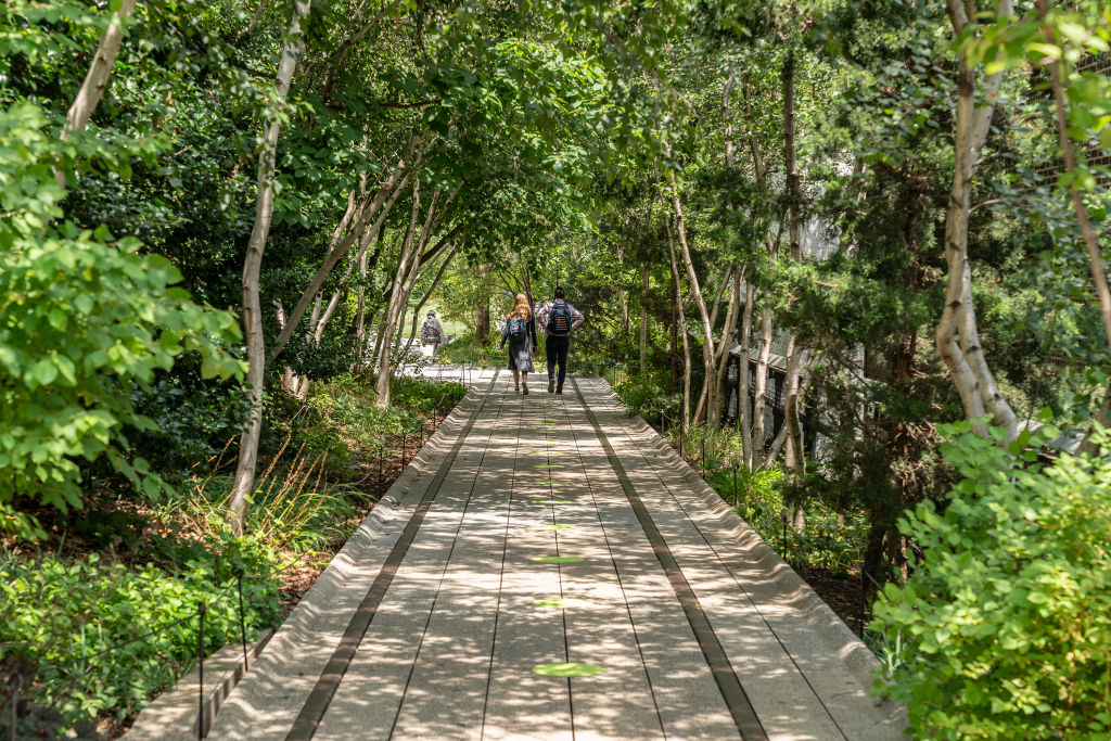 Greenways Are Reviving American Cities. Some Say They Could Be Improved