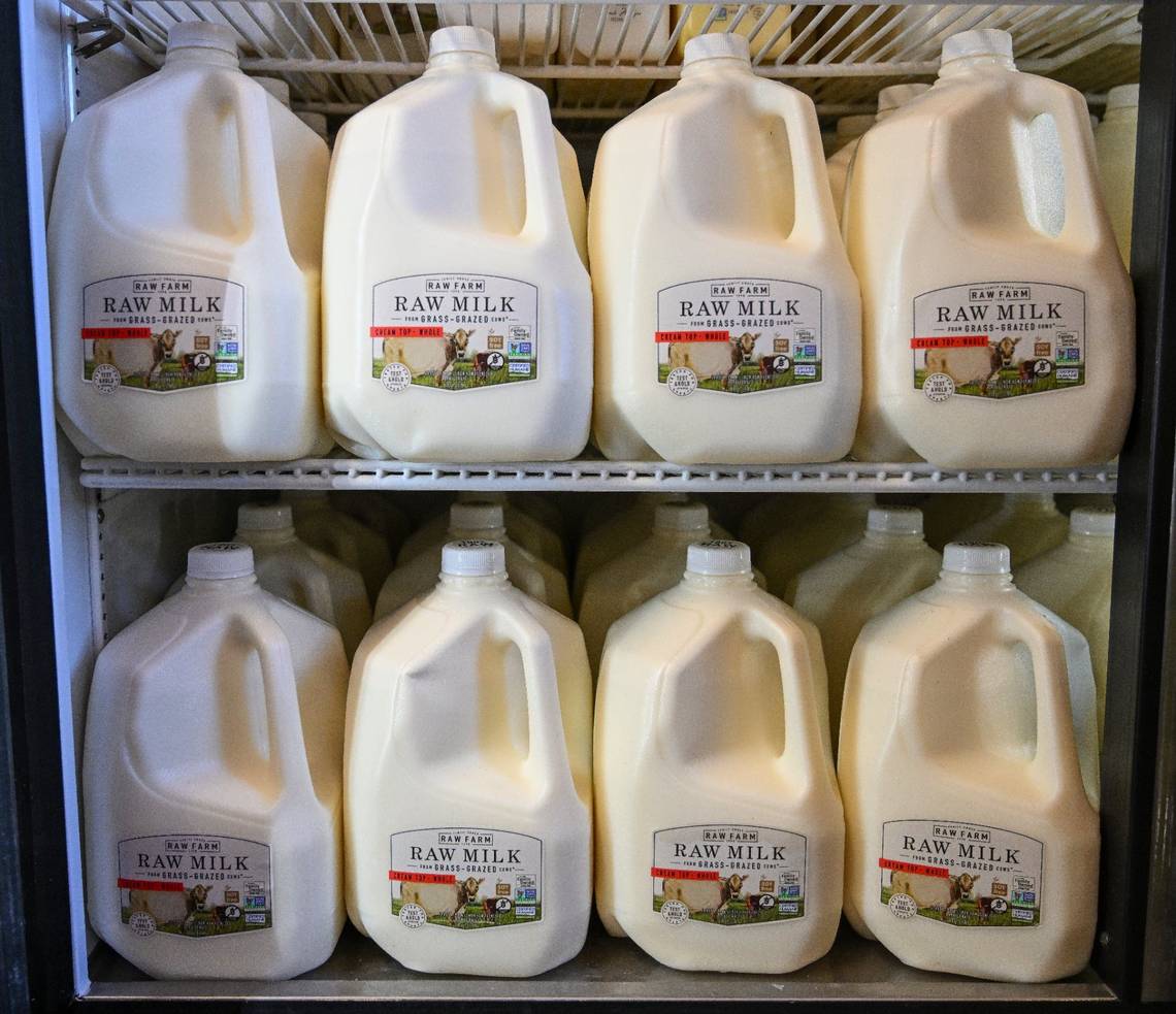 Is Raw Milk Safe? Here’s What to Know