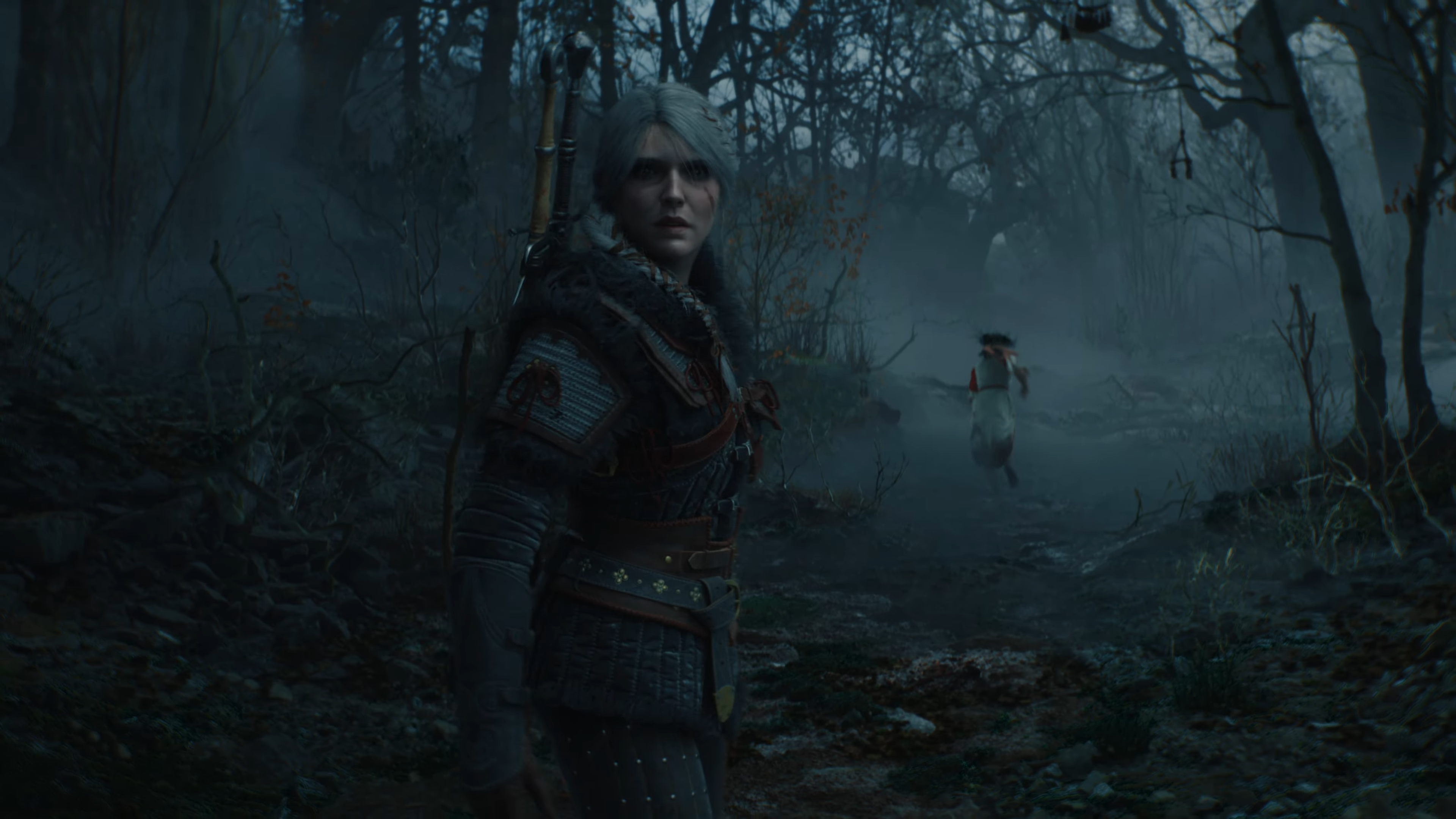 The Witcher 4 will introduce new regions, but the map will remain “more or less the same” size as The Witcher 3