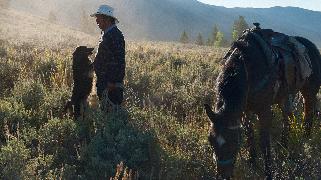 Wildfires put ranchers on federal land in limbo for 2 years