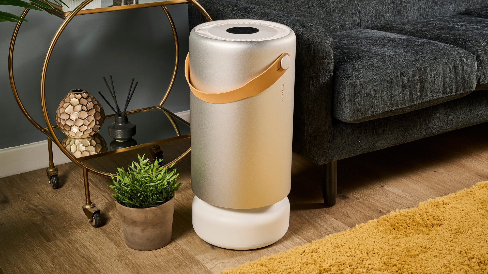 What do air purifiers help with?