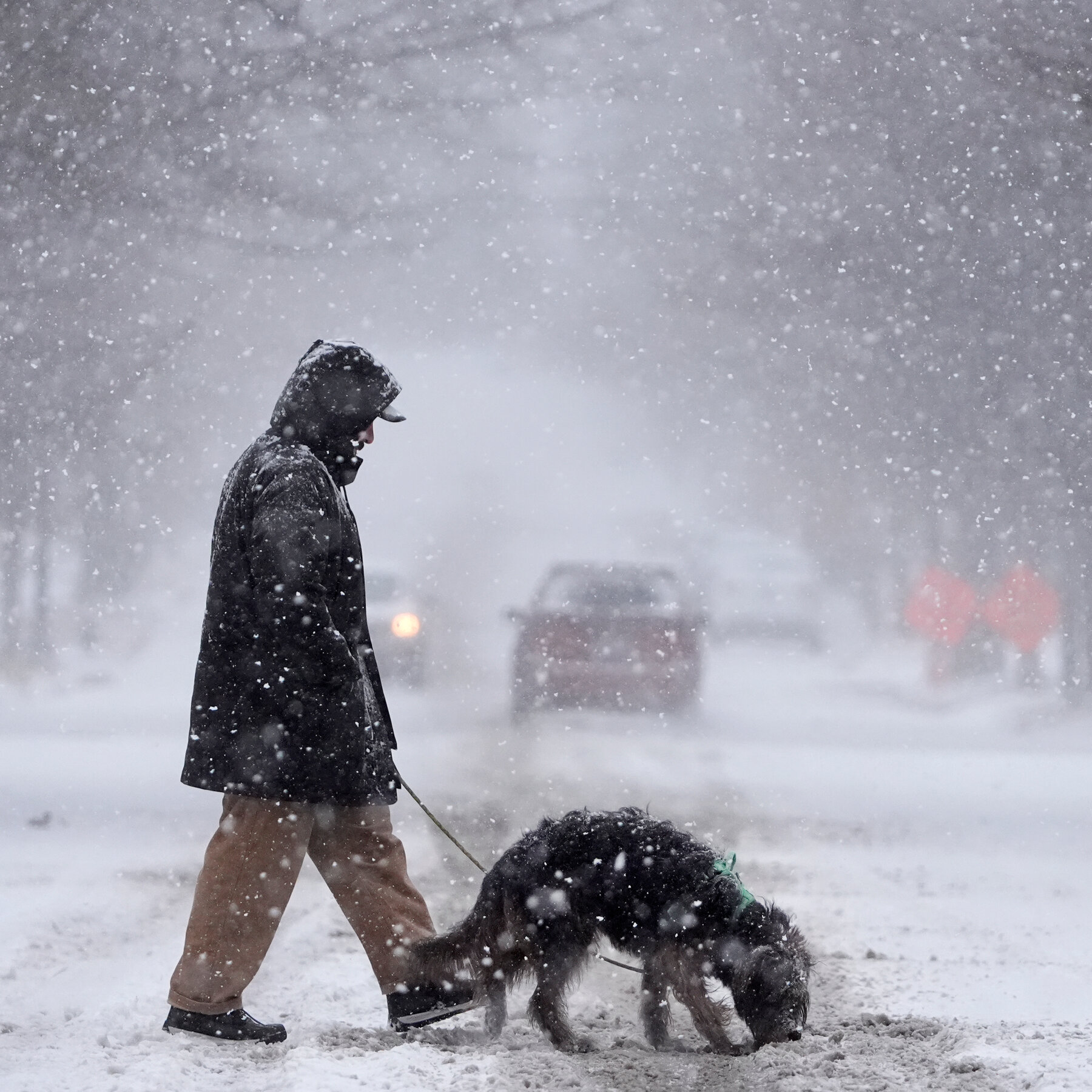 Winter Storm Brings Heavy Snow and Power Outages to Mid-Atlantic