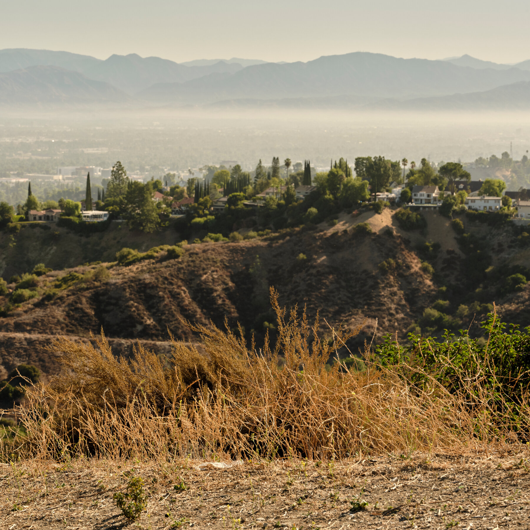 Southern California is Dangerously Dry for This Time of Year