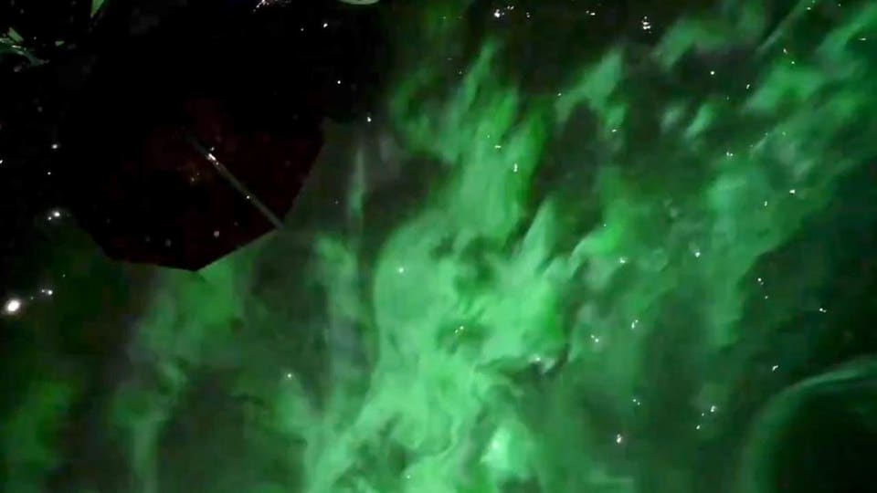 See An ‘Intensely Green’ Aurora Flyover From The Space Station