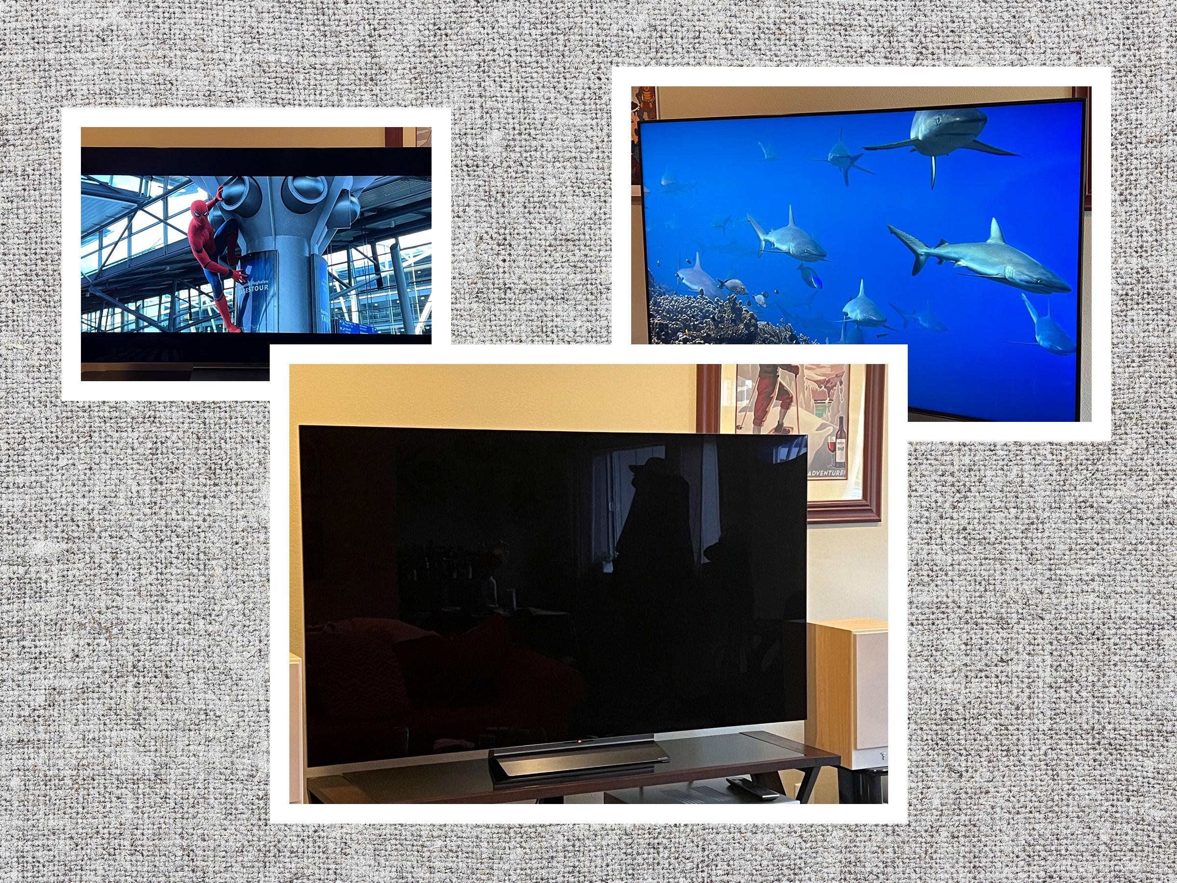 The 12 Best TVs We’ve Reviewed, Plus Buying Advice (2025)