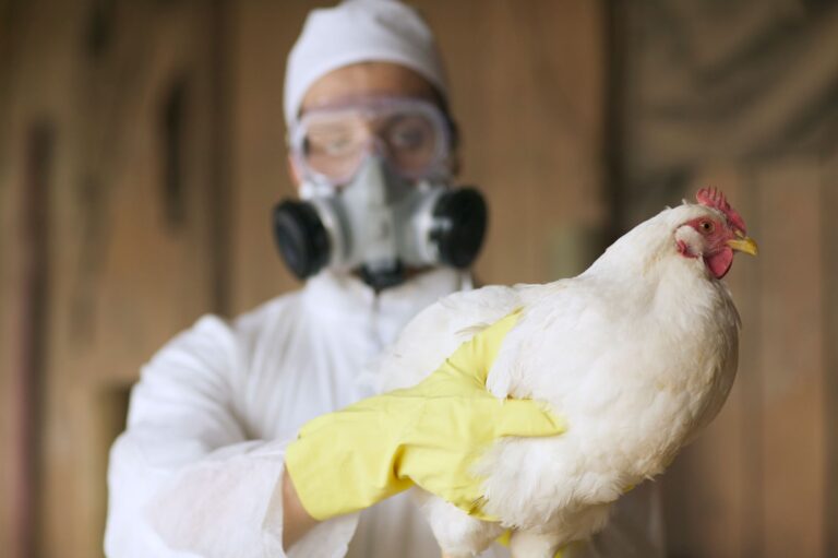 The First US Bird Flu Death Is a Stark Warning